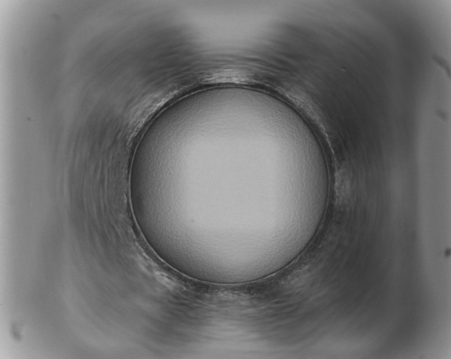 X0000102830529200808251136