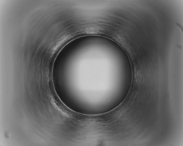 X0000102830530200808251136