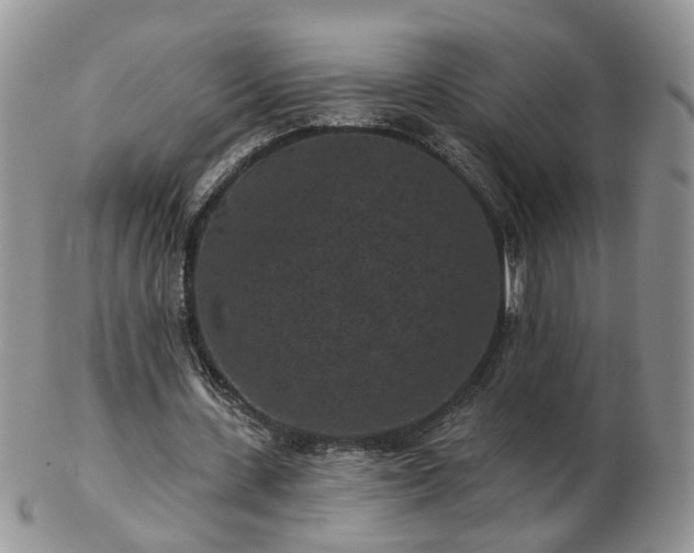 X0000102830531200808251136