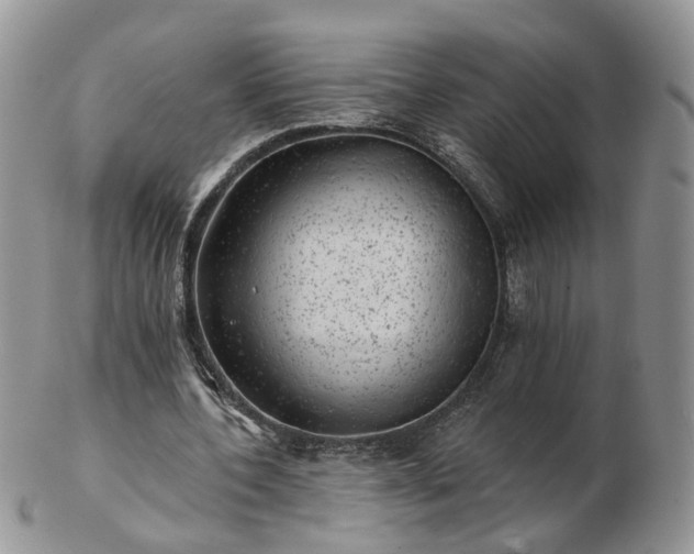 X0000102830532200808251136