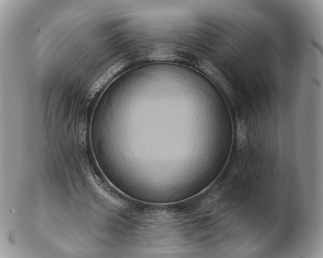 X0000102830533200808251136