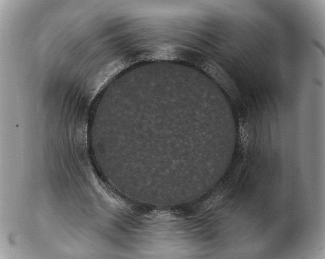 X0000102830534200808251136