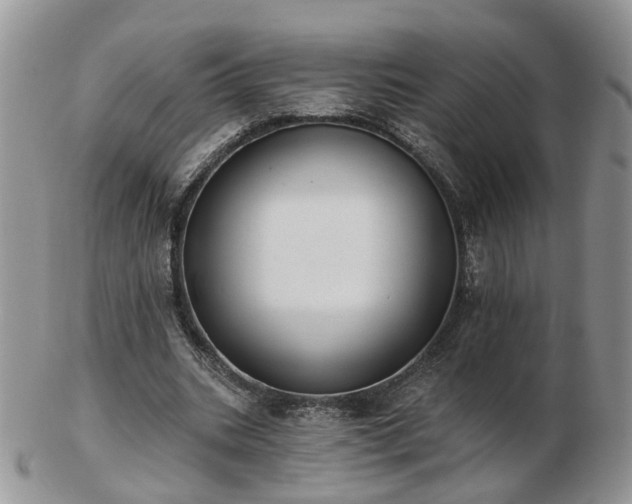 X0000102830535200808251136