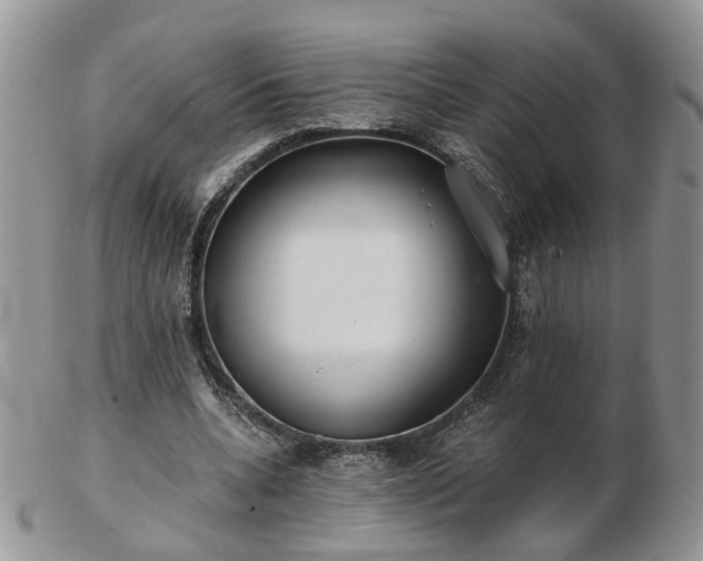 X0000102830536200808251136