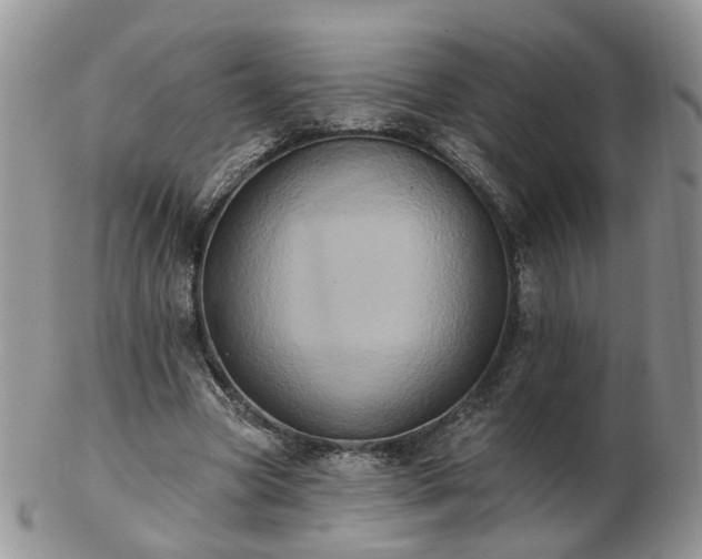 X0000102830537200808251136