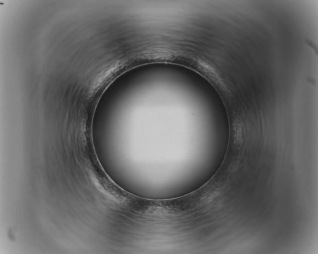 X0000102830538200808251136