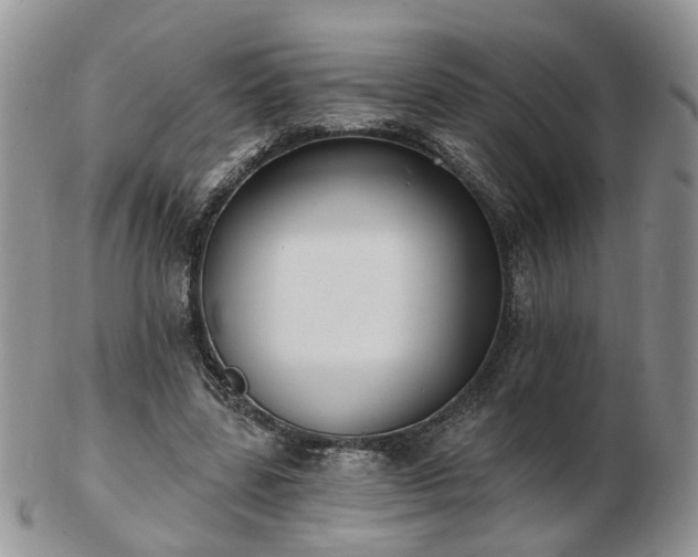 X0000102830539200808251136