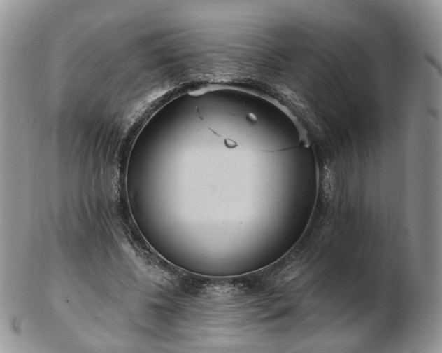 X0000102830540200808251136