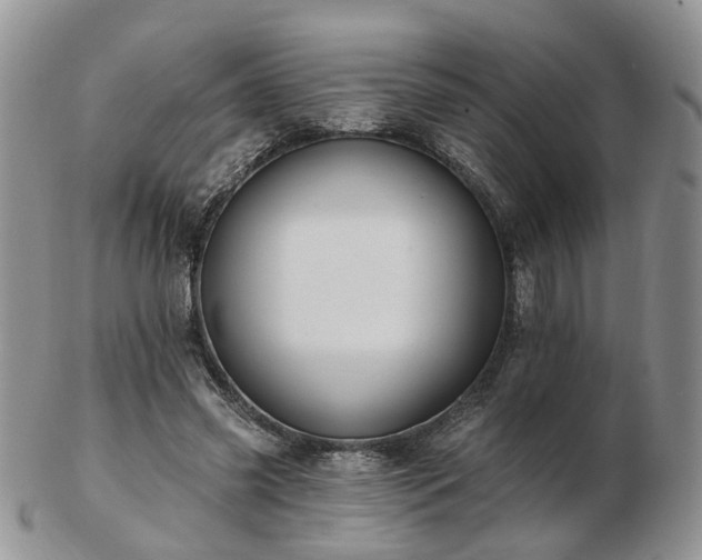 X0000102830541200808251136