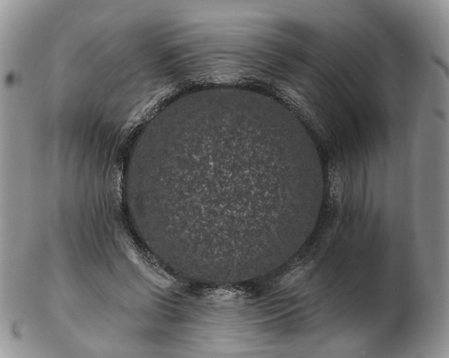 X0000102830542200808251136