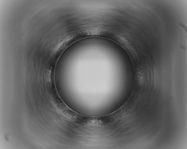 X0000102830543200808251136