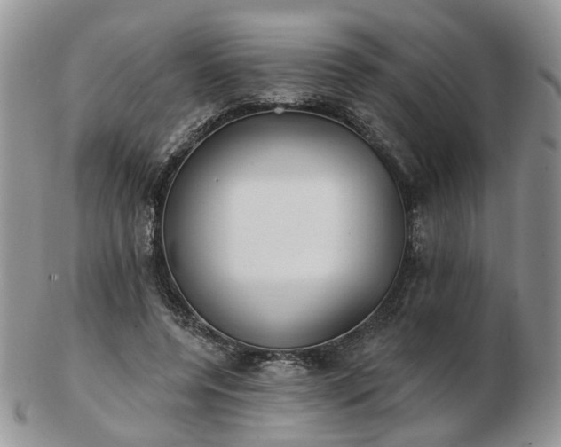 X0000102830544200808251136