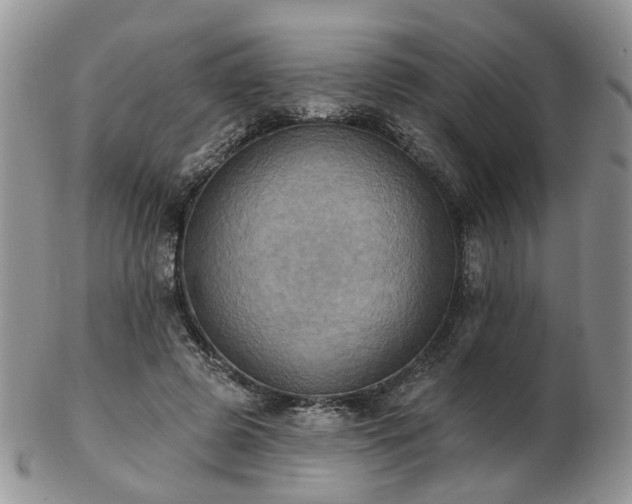 X0000102830545200808251136