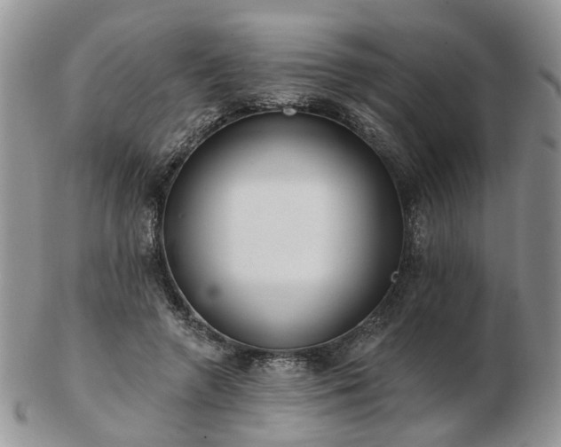 X0000102830546200808251136