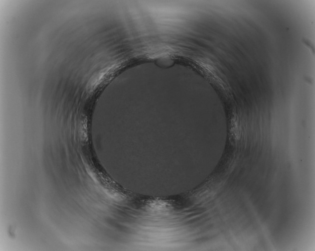 X0000102830547200808251136