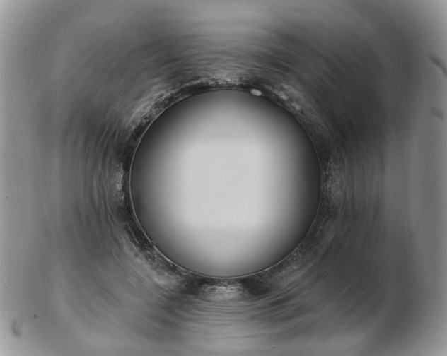 X0000102830548200808251136