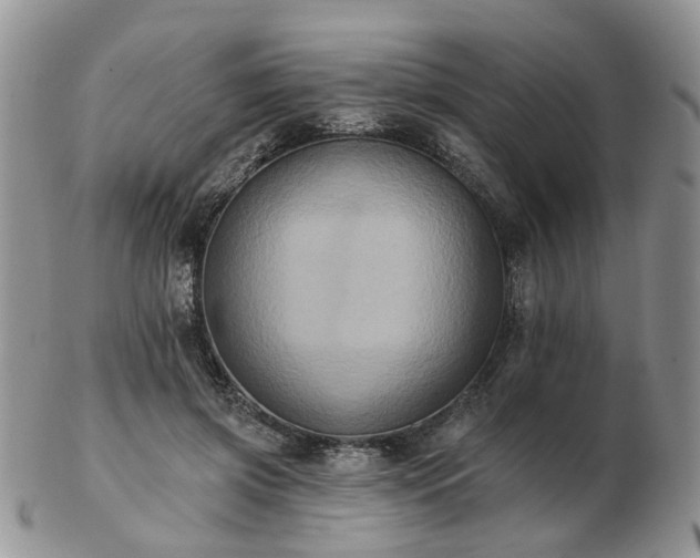 X0000102830549200808251136