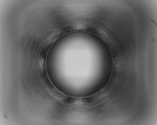 X0000102830550200808251136