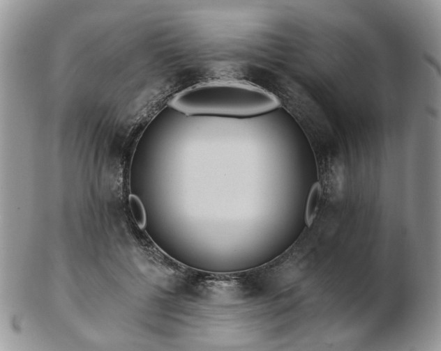 X0000102830552200808251136