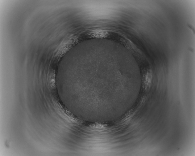 X0000102830553200808251136