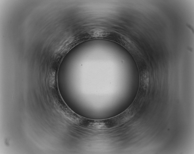 X0000102830554200808251136