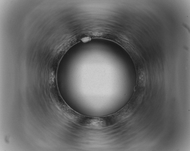 X0000102830555200808251136