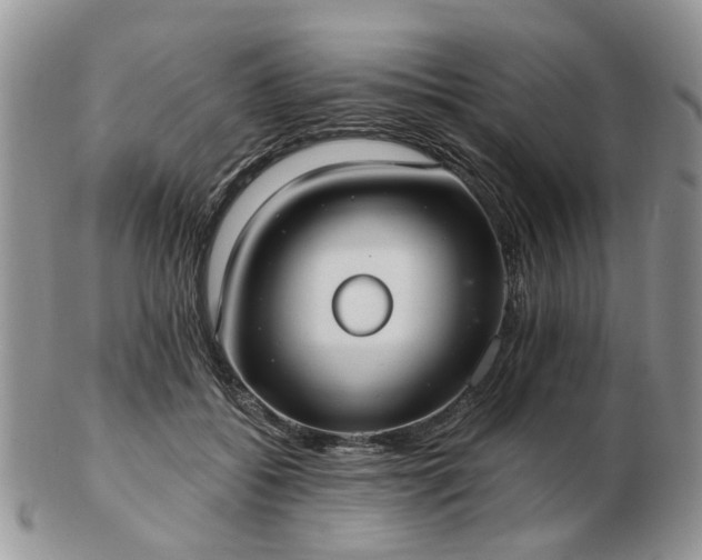 X0000102830556200808251136