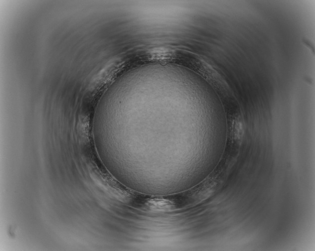 X0000102830557200808251136