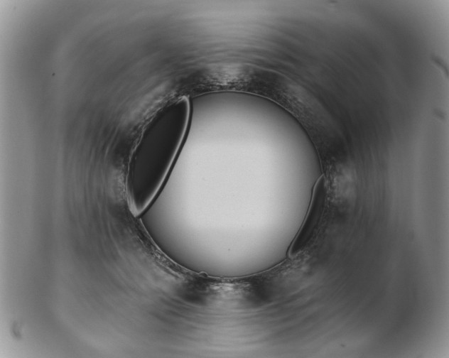 X0000102830558200808251136