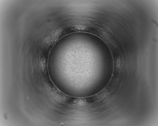 X0000102830559200808251136