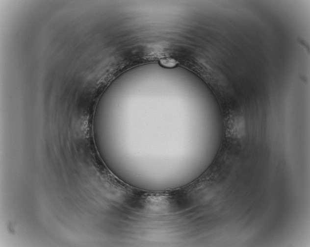 X0000102830560200808251136