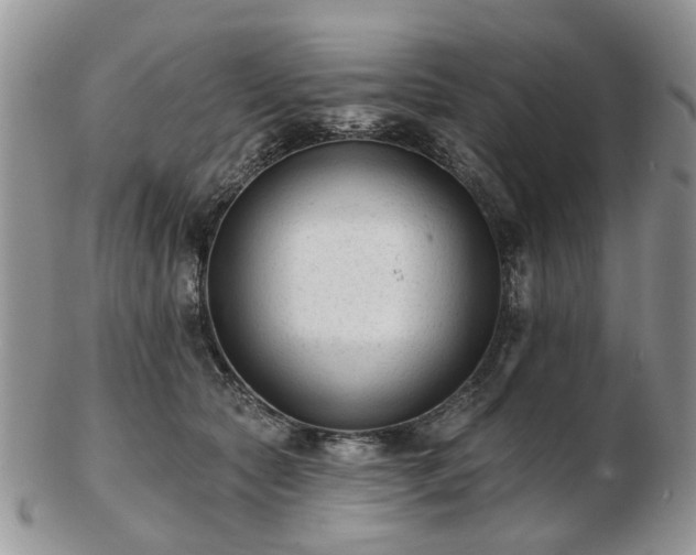 X0000102830561200808251136