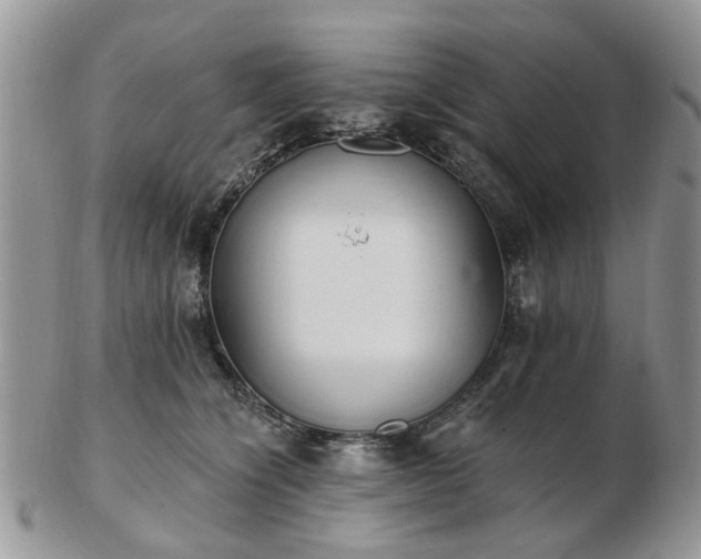 X0000102830564200808251136