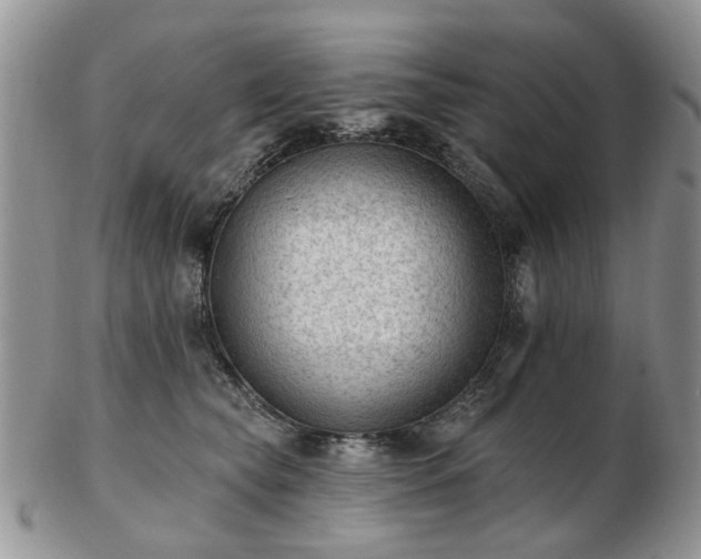 X0000102830565200808251136