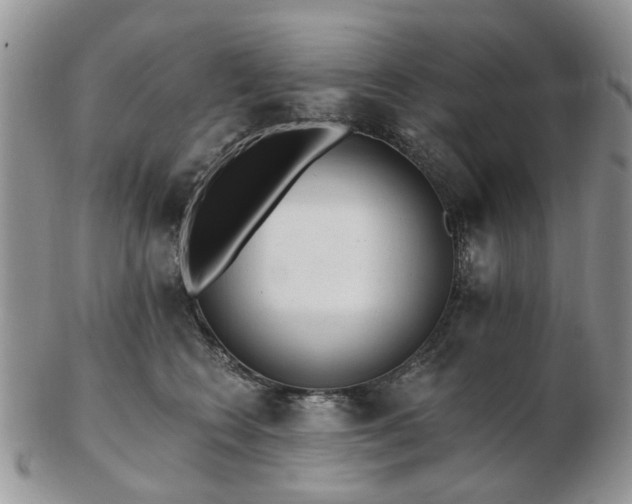 X0000102830566200808251136