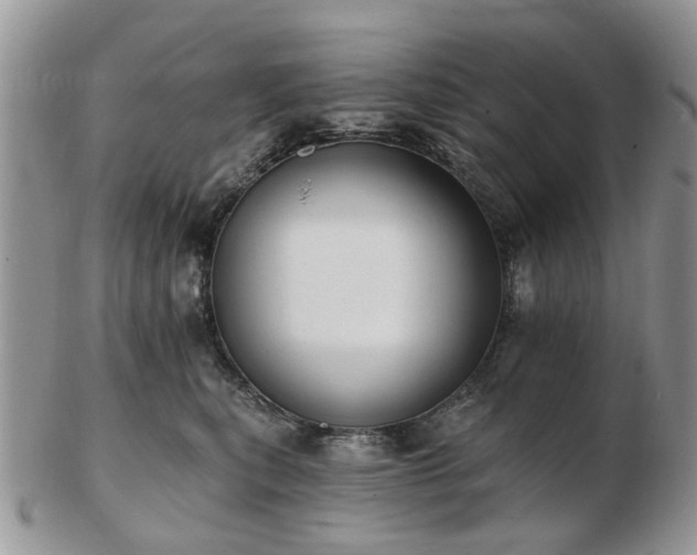 X0000102830567200808251136