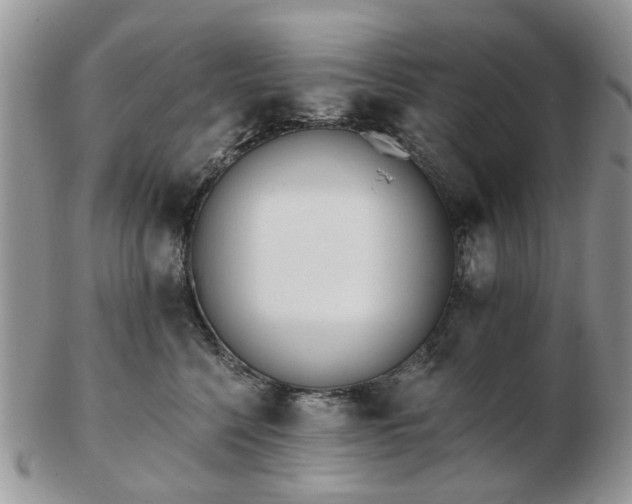 X0000102830568200808251136