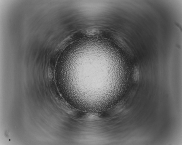 X0000102830569200808251136