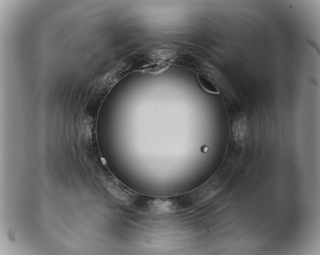 X0000102830570200808251136