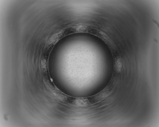 X0000102830571200808251136