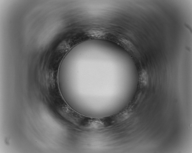 X0000102830572200808251136