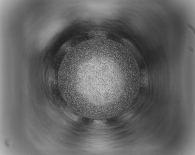 X0000102830573200808251136