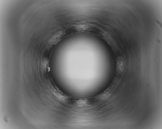 X0000102830574200808251136