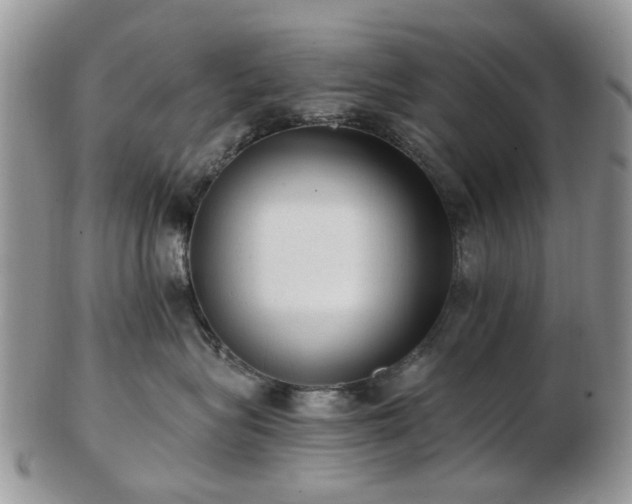 X0000102830575200808251136