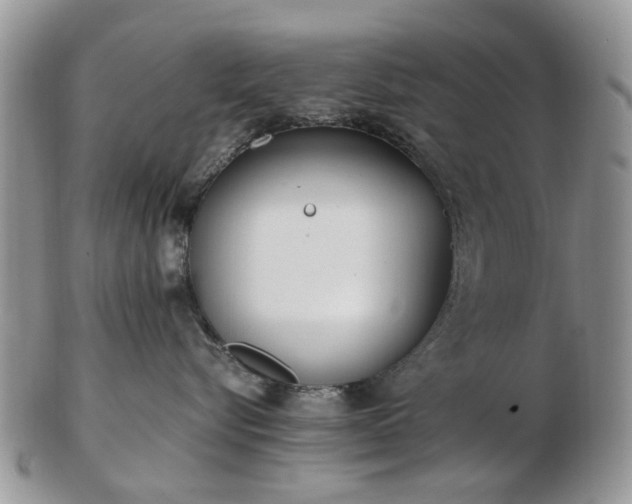 X0000102830576200808251136