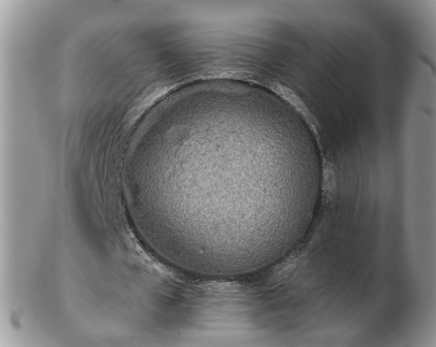 X0000102830577200808251136