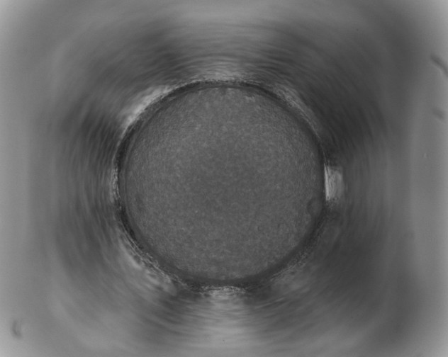 X0000102830579200808251136