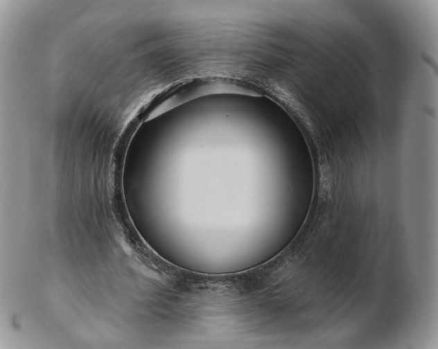 X0000102830580200808251136