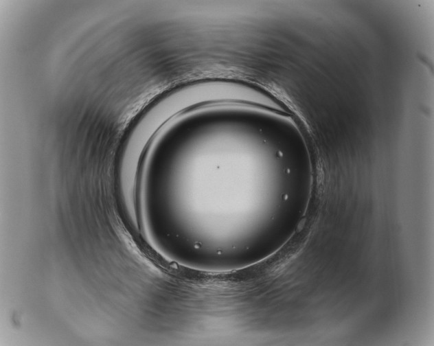 X0000102830581200808251136