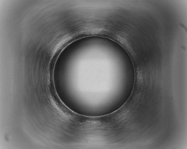 X0000102830582200808251136